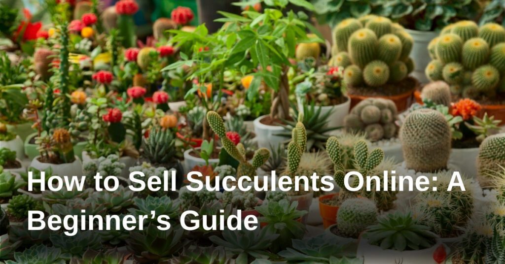 how-to-sell-succulents-online-a-beginners-guide